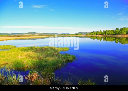 Die größere hinggan Berge Wald See Landschaft Stockfoto