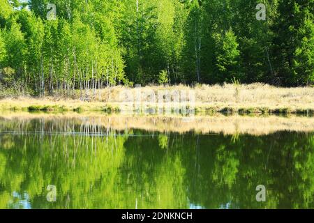 Die größere hinggan Berge Wald See Landschaft Stockfoto
