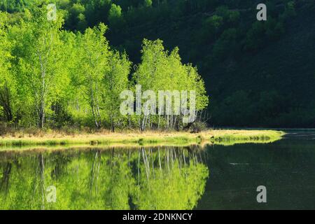 Die größere hinggan Berge Wald See Landschaft Stockfoto