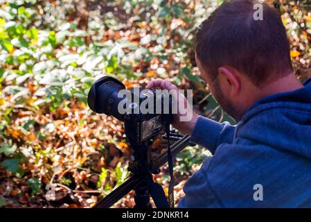 Rückansicht männlicher Fotograf im hellen Herbstwald. Stockfoto