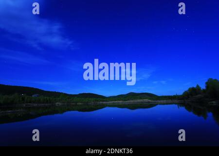 Lake Forest sternenklare Nacht Stockfoto