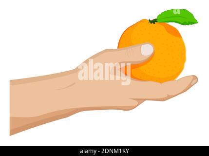 Saftig reife Orange mit grünem Blatt in einer mans Hand. Tropische Früchte im Sommer. Cartoon-Vektor auf weißem Hintergrund Stock Vektor
