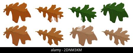 Set of oak autumn leaves in different colors. Oak Grove. Cartoon vector Stock Vektor