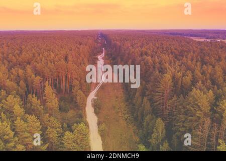 Rural autumn landscape. Dirt road in the pine forest. Aerial view Stock Photo