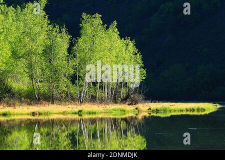 Die Greater hinggan Berge See Waldlandschaften Stockfoto