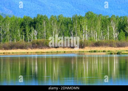 Die Greater hinggan Berge See Waldlandschaften Stockfoto