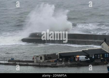 Lyme Regis, Dorset, Großbritannien. Dezember 2020. Wetter in Großbritannien. Große stürmische Wellen schlagen bei Flut an einem Morgen starker böiger Winde und Regen gegen die historische Cobb Harbour Wall bei Lyme Regis in Dorset. Bild: Graham Hunt/Alamy Live News Stockfoto