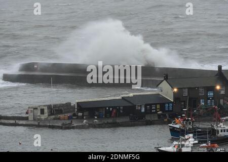 Lyme Regis, Dorset, Großbritannien. Dezember 2020. Wetter in Großbritannien. Große stürmische Wellen schlagen bei Flut an einem Morgen starker böiger Winde und Regen gegen die historische Cobb Harbour Wall bei Lyme Regis in Dorset. Bild: Graham Hunt/Alamy Live News Stockfoto