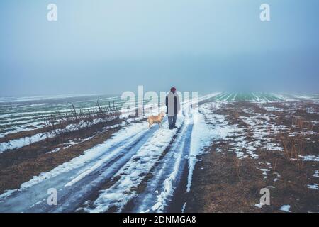 Mann mit Labrador Retriever Hund beim Wandern auf dem Land im Winter. Felder bedeckt mit dem ersten Schnee Stockfoto