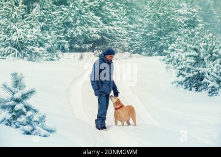 Glücklicher Mann mit Hund spaziert im Winter im verschneiten Wald Stockfoto