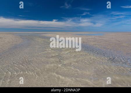 Gezeiten Creek im Wattenmeer an der deutschen Nordseeküste. Schleswig-Holstein, Deutschland Stockfoto