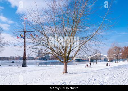 Mannheim, Deutschland. Januar 2010. Am Morgen schlendern die Menschen auf den schneebedeckten Wiesen am Rhein. Stockfoto