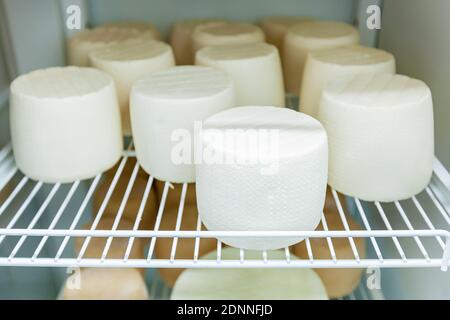 Die Käseköpfe werden auf Racks in der Käserei getrocknet. Werkstatt für die Herstellung von Käse auf einer Öko-Farm. Stockfoto