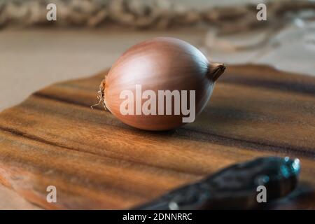 Zwiebel liegt in der Mitte des Rahmens auf Holzbrett Teil Stockfoto