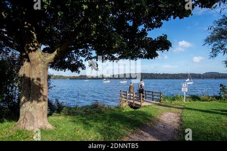 Conde-sur-L'Escaut (northern France): former mining site of Chabaud-Latour and tailings pond. Couple viewed from behind on a wooden pontoon facing the Stock Photo