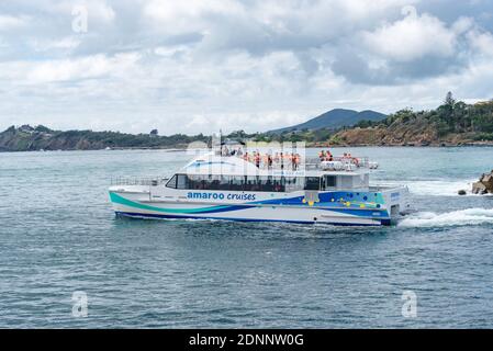 Das große Doppelrumpf Amaroo Cruises Wal- und Delfinbeobachtungsschiff fährt zwischen dem Wellenbrecher am Eingang zu Forster Tuncurry, NSW, Aust Stockfoto