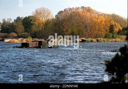 Conde-sur-L'Escaut (Nordfrankreich): Ehemaliges Bergbaugebiet von Chabaud-Latour und Bergteich. Jagdhütte am Teich von Chabaud-Latour Stockfoto