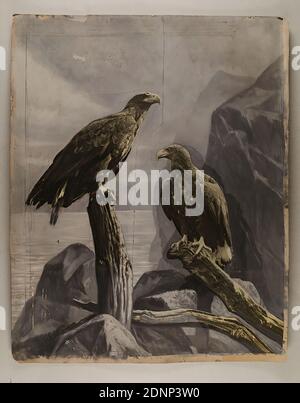 Johann Hinrich W. Hamann, zwei goldene Adler, Silbergelatinepapier, schwarz-weiß-positiv, bemalt, Bildgröße: Höhe: 51 cm; Breite: 38.5 cm, Tierfotografie, Adler (Vögel Stockfoto