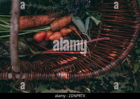 Gemüse und Kräuter in Warenkorb Stockfoto