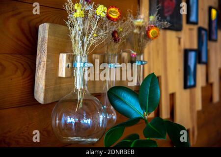 Pflanzen in einer Glaskolbe, die an der Wand hängt Stockfoto