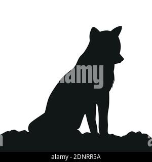 Junge Wolf Silhouette auf weißem Hintergrund Vektor Illustration EPS10 Stock Vektor