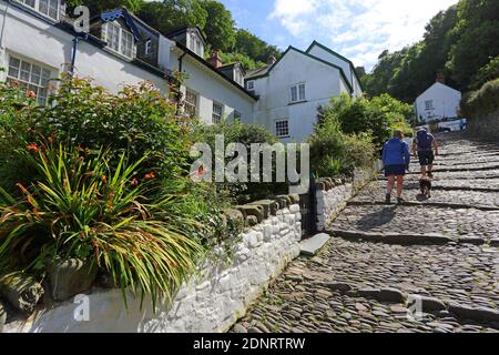 Vereinigtes Königreich / Devon /Clovelly Estate/Clovelly ist ein privat geführtes Dorf im Norden von Devon. Die gepflasterte Hauptstraße schlängelt sich den Hügel hinauf. Stockfoto