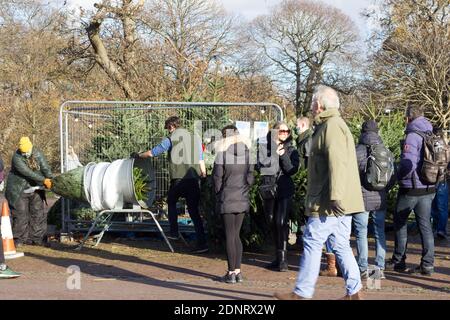 Greenwich Park, London, England, 5. Dezember 2020. Die Vorbereitungen für Weihnachten waren in vollem Gange, als die Käufer an einem sonnigen Samstag den Weihnachtsbaum schnappten Stockfoto