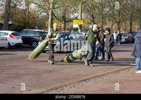 Greenwich Park, London, England, 5. Dezember 2020. Die Vorbereitungen für Weihnachten waren in vollem Gange, als die Käufer an einem sonnigen Samstag den Weihnachtsbaum schnappten Stockfoto