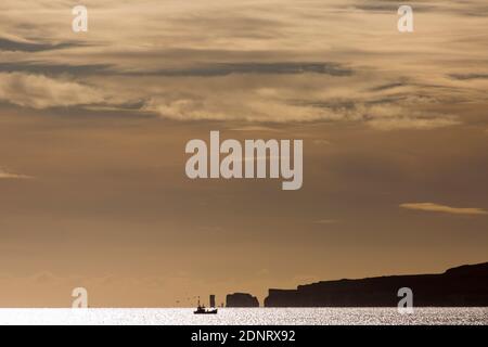 Fischerboot wird von Möwen Vögel an Harry Rocks vorbei gefolgt Rückkehr nach Poole, Dorset, England im Dezember Stockfoto