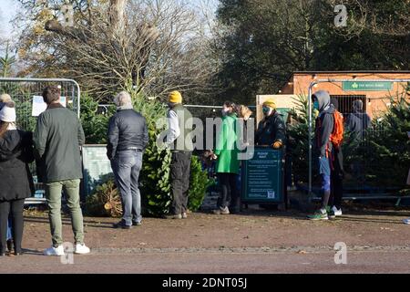 Greenwich Park, London, England, 5. Dezember 2020. Die Vorbereitungen für Weihnachten waren in vollem Gange, als die Käufer an einem sonnigen Samstag den Weihnachtsbaum schnappten Stockfoto