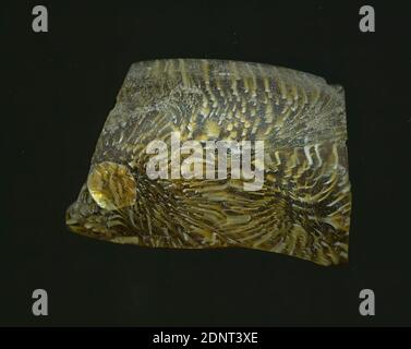 Fragment eines Gefäßes, Glas, gepresst, geschnitten, Gesamt: Höhe: 4.50 cm; Breite: 6.70 cm, Behälter, Lagerung, Küchenarbeit, frühkaiserliche Zeit, EINE leichte Krümmung des Glassfragments ermöglicht die Zuordnung zu einem Gefäß, möglicherweise einer Schüssel. Das ockergelbe Glas ist weiß marmoriert, an einigen Stellen bilden sich Kreise. Für die Herstellung wurden verschiedenfarbige Gläser zu Rohren und Stäben geformt. Diese wurden zusammengedrückt und erhitzt, was zu einer langen Stange führte. Das in Scheiben geschnittene Glas hatte verschiedene amorphe oder florale Muster. Stockfoto