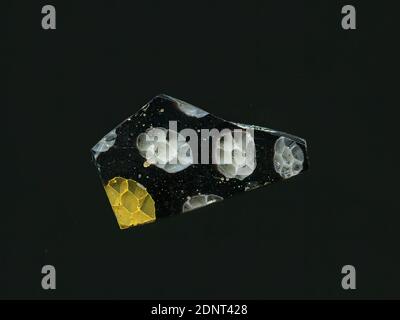 Fragment eines Gefäßes, Glas, millefiori-Technik, Gesamt: Höhe: 2.80 cm; Breite: 1.70 cm, Behälter, Lagerung, Küchenarbeit, Trinken und Barware, florale Ornamente, frühe Kaiserzeit, EINE leichte Krümmung des Glasfragments ermöglicht die Zuordnung zu einem Gefäß. Das violette Glas ist mit mehreren Blumen in millefiori-Technik verziert. Sie bestehen aus einem transparenten Kreis mit weißem Umriss, eingerahmt von transparenten Blütenblättern mit weißem Umriss, oder einer Variante mit gelbem Umriss. Für die Herstellung wurden verschiedenfarbige Gläser zu Rohren und Stäben geformt. Stockfoto