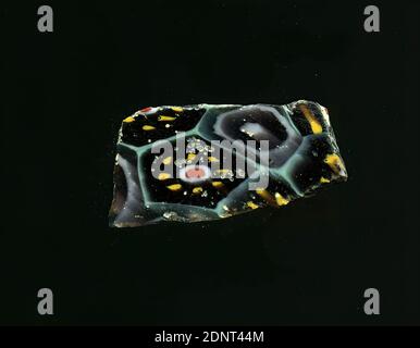 Fragment eines Gefäßes, Glas, millefiori-Technik, Gesamt: Höhe: 1,20 cm; Breite: 2,20 cm, Behälter, Aufbewahrung, Küchenarbeit, florale Ornamente, frühkaiserliche Zeit, EINE leichte Krümmung des Glasfragmentes ermöglicht die Zuordnung zu einem Gefäß, möglicherweise einer Schale der Scherben ist von einem Gitter aus türkisfarbenen Linien, die an Waben erinnern bedeckt. Stockfoto