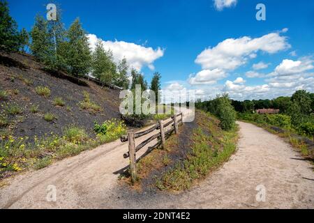 Libercourt (Nordfrankreich): Überblick über den Abfallhaufen „Terril 115“. Diese Bergbauregion Nord-Pas-de-Calais ist als UNESCO World Herita registriert Stockfoto