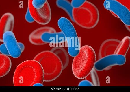 3d Rendern blaue Farbe Bakterium mit Blutzellen blauen Hintergrund Stockfoto