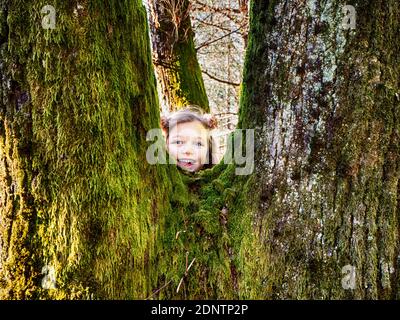 Lächelndes Mädchen versteckt hinter einem Baum, Italien Stockfoto