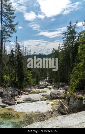 Wasserfälle von Cold Stream in Great Cold Valley in der Hohen Tatra, Slowakei. Wolkiger Himmel. Stockfoto