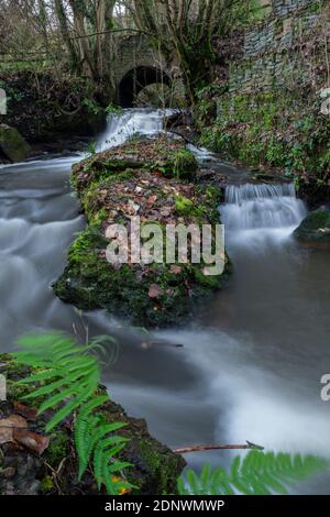Bach, der durch eine Bogenbrücke im unteren Wye Tal fließt. Stockfoto