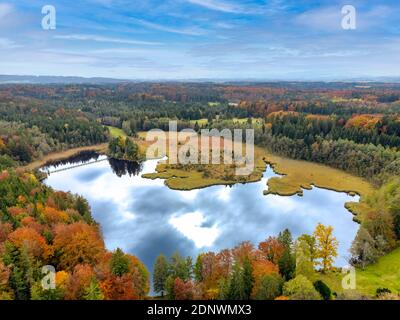 Herbststimmung im Stadler Weiher, Alpenvorland, Oberbayern, Bayern, Deutschland, Europa Stockfoto