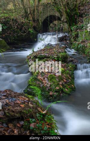 Bach, der durch eine Bogenbrücke im unteren Wye Tal fließt. Stockfoto