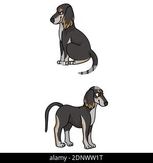 Cute Cartoon Saluki Welpen Vektor Cliparts. Pedigree Barzoi Hund für Zwinger Club. Reinrassige häusliche Windhund Hund Training für Haustier Salon Illustration Stock Vektor
