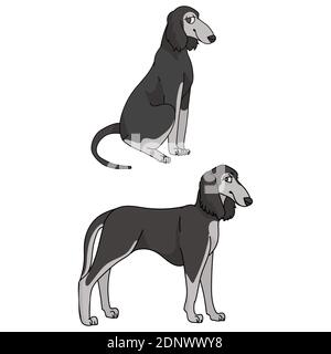Niedliche Cartoon Saluki Hund Vektor Cliparts. Pedigree Barzoi Hund für Zwinger Club. Reinrassige inländischen Windhund Welpen Ausbildung für Haustier Salon Illustration Stock Vektor