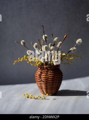 Willow und Mimosen Zweige in einer Weidenvase auf verschwommen Bokeh-Unschärfe-Hintergrund Stockfoto