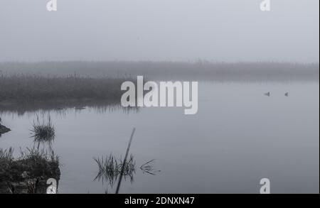 Nebel am Fluss Deben, Fluss Deben im Nebel, Morgennebel, Winternebel, Misty Fluss, Foggy Fluss, dunst steigt über Wasser, dunstiger Fluss Stockfoto