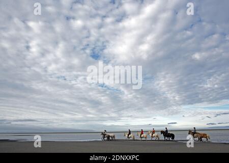 Island / Ostisland/Husey/ der Bauernhof bietet kurze und lange Wanderungen zu Pferd in Richtung Dünen und Meer. Stockfoto