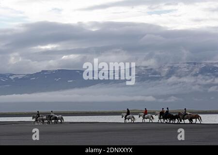 Island / Ostisland/Husey/ der Bauernhof bietet kurze und lange Wanderungen zu Pferd in Richtung Dünen und Meer. Stockfoto