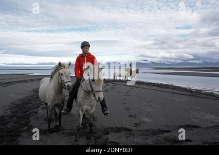 Island / Ostisland/Husey/ der Bauernhof bietet kurze und lange Wanderungen zu Pferd in Richtung Dünen und Meer. Stockfoto