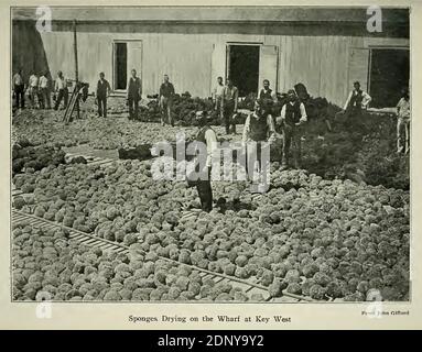 Key West 1906 Stockfoto
