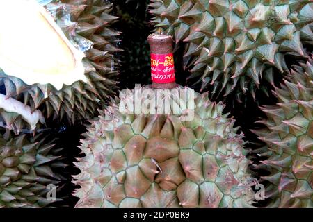 Durian für Verkauf, Klong Tan, Bangkok, Thailand Stockfoto