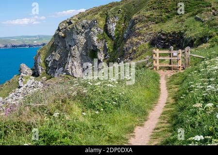 Der Küstenwanderweg und Stil zwischen Polzeath und Port Isaac an einem sonnigen Tag mit blauem Meer. Stockfoto